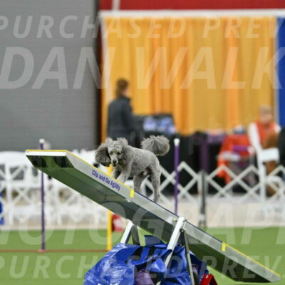 MAS-EX-STD-16-Inch_6473