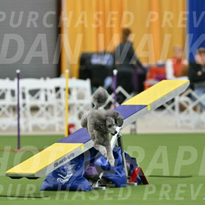 MAS-EX-STD-16-Inch_6483