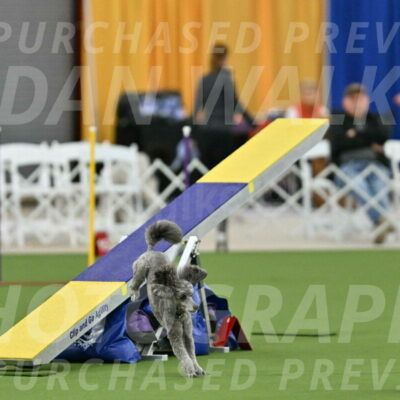 MAS-EX-STD-16-Inch_6485