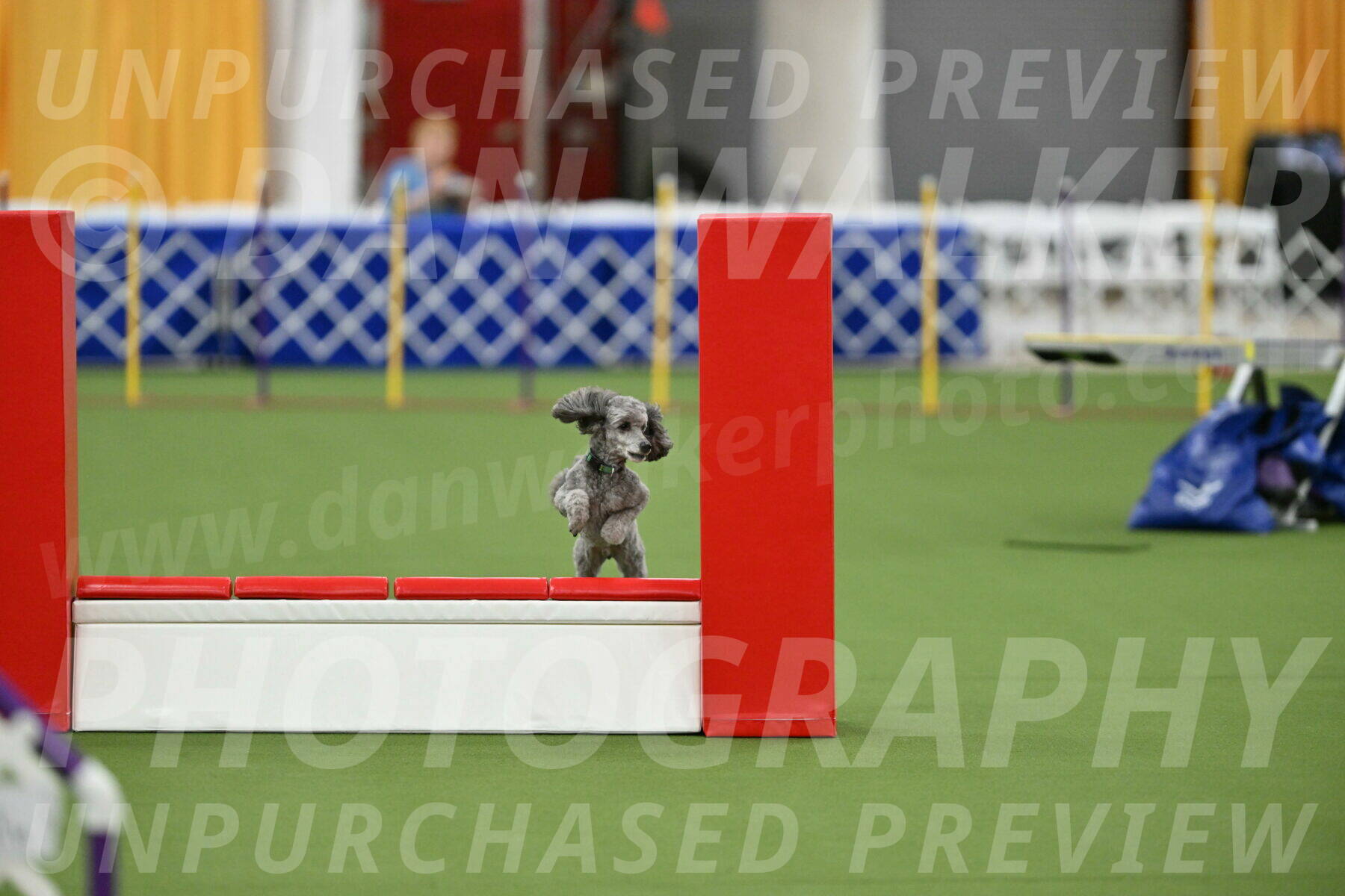 MAS-EX-STD-16-Inch_6491