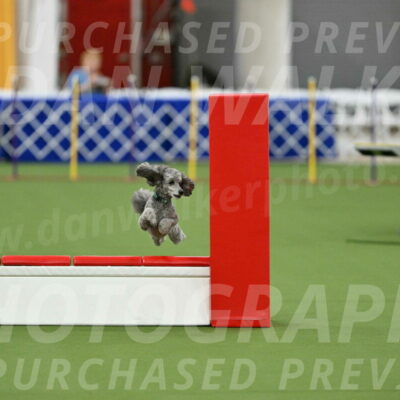 MAS-EX-STD-16-Inch_6492