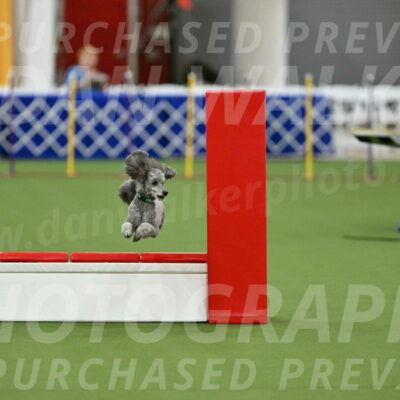 MAS-EX-STD-16-Inch_6494