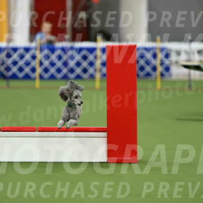 MAS-EX-STD-16-Inch_6495