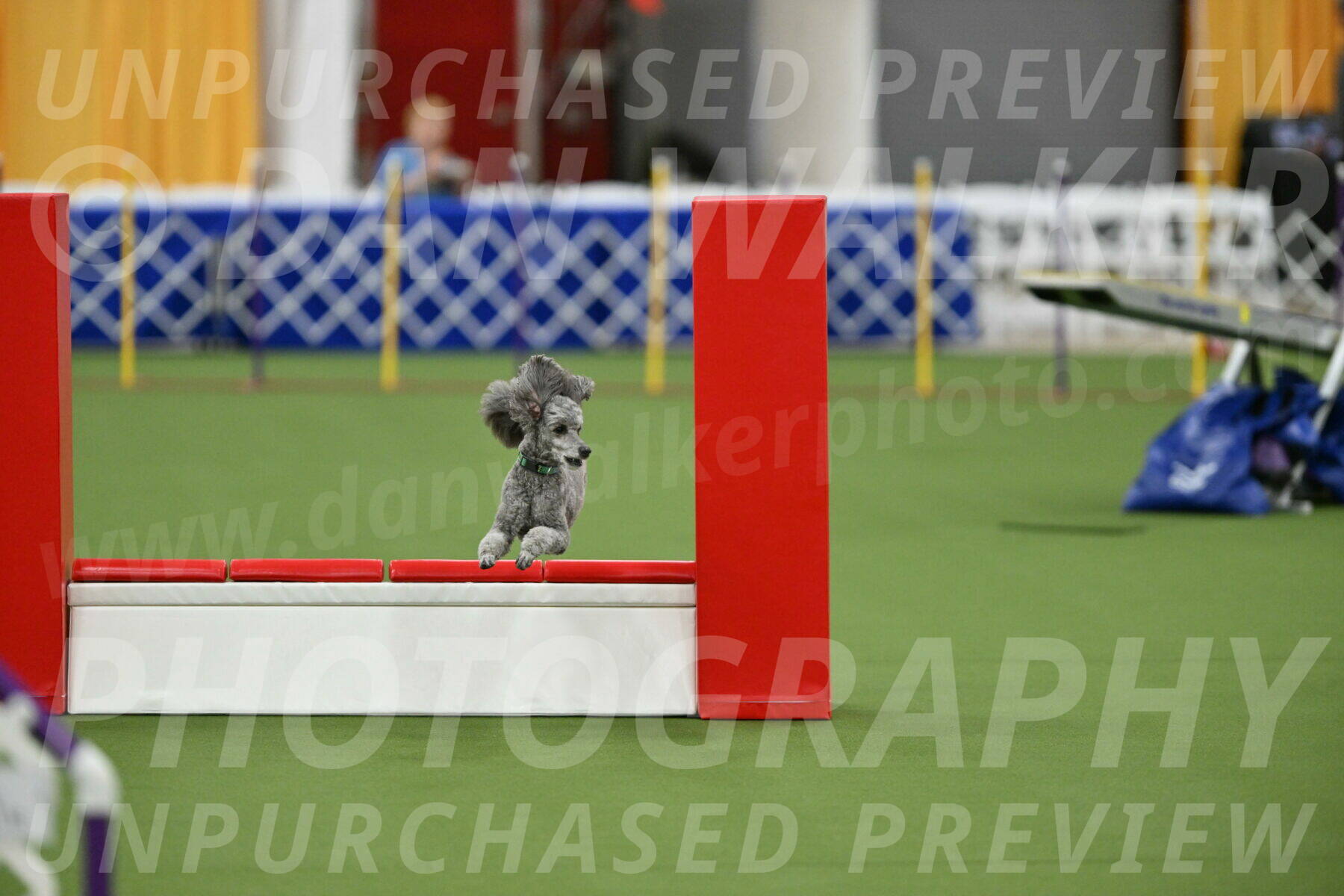 MAS-EX-STD-16-Inch_6495