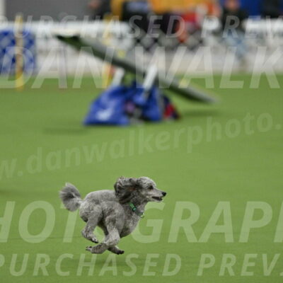 MAS-EX-STD-16-Inch_6496