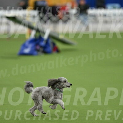 MAS-EX-STD-16-Inch_6497