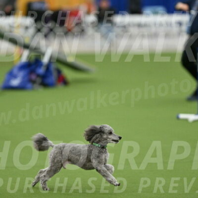 MAS-EX-STD-16-Inch_6498