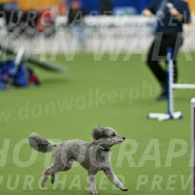 MAS-EX-STD-16-Inch_6499