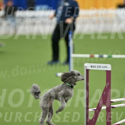 MAS-EX-STD-16-Inch_6501