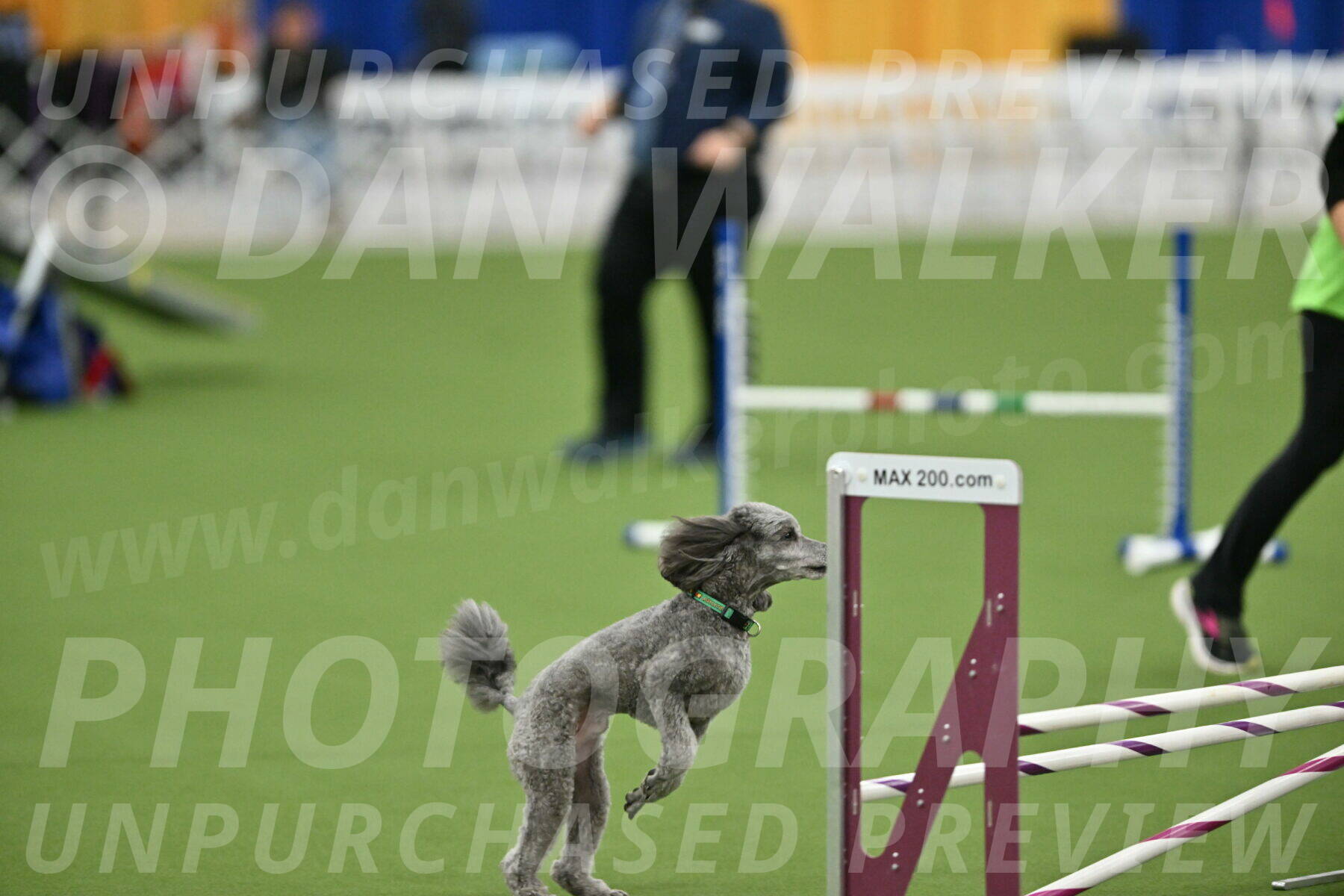 MAS-EX-STD-16-Inch_6501