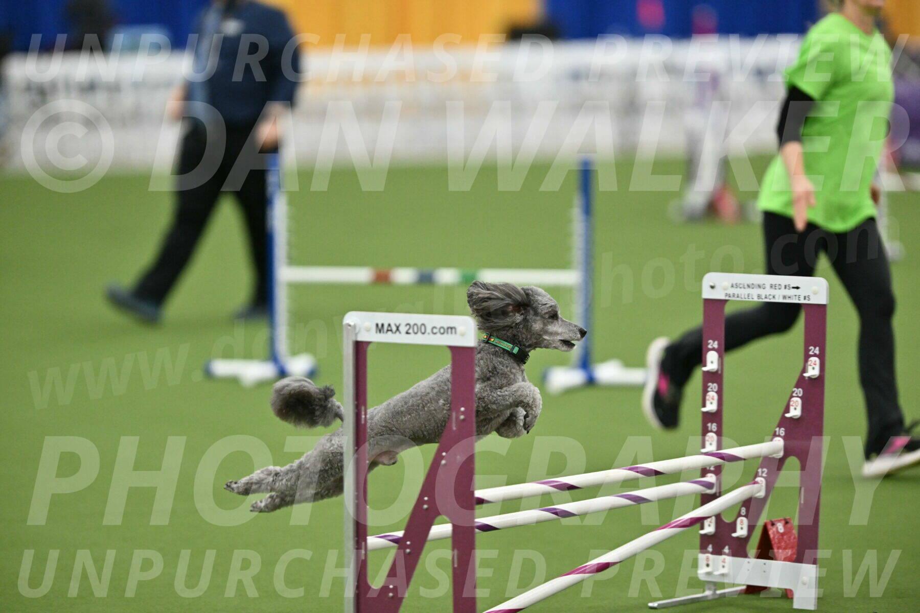 MAS-EX-STD-16-Inch_6503