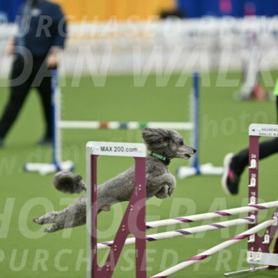 MAS-EX-STD-16-Inch_6503