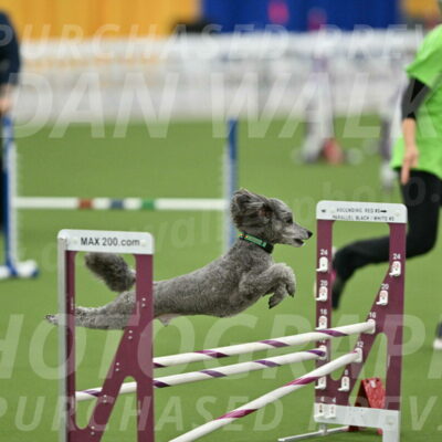 MAS-EX-STD-16-Inch_6504