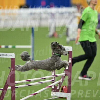 MAS-EX-STD-16-Inch_6505