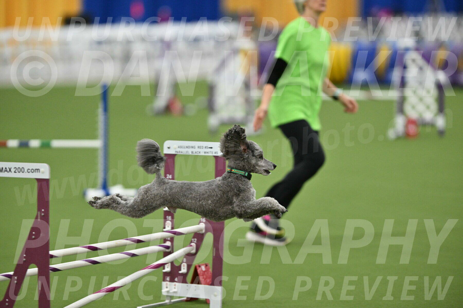 MAS-EX-STD-16-Inch_6506