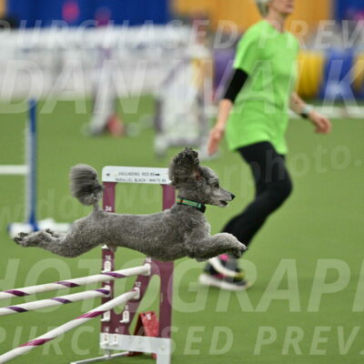 MAS-EX-STD-16-Inch_6506