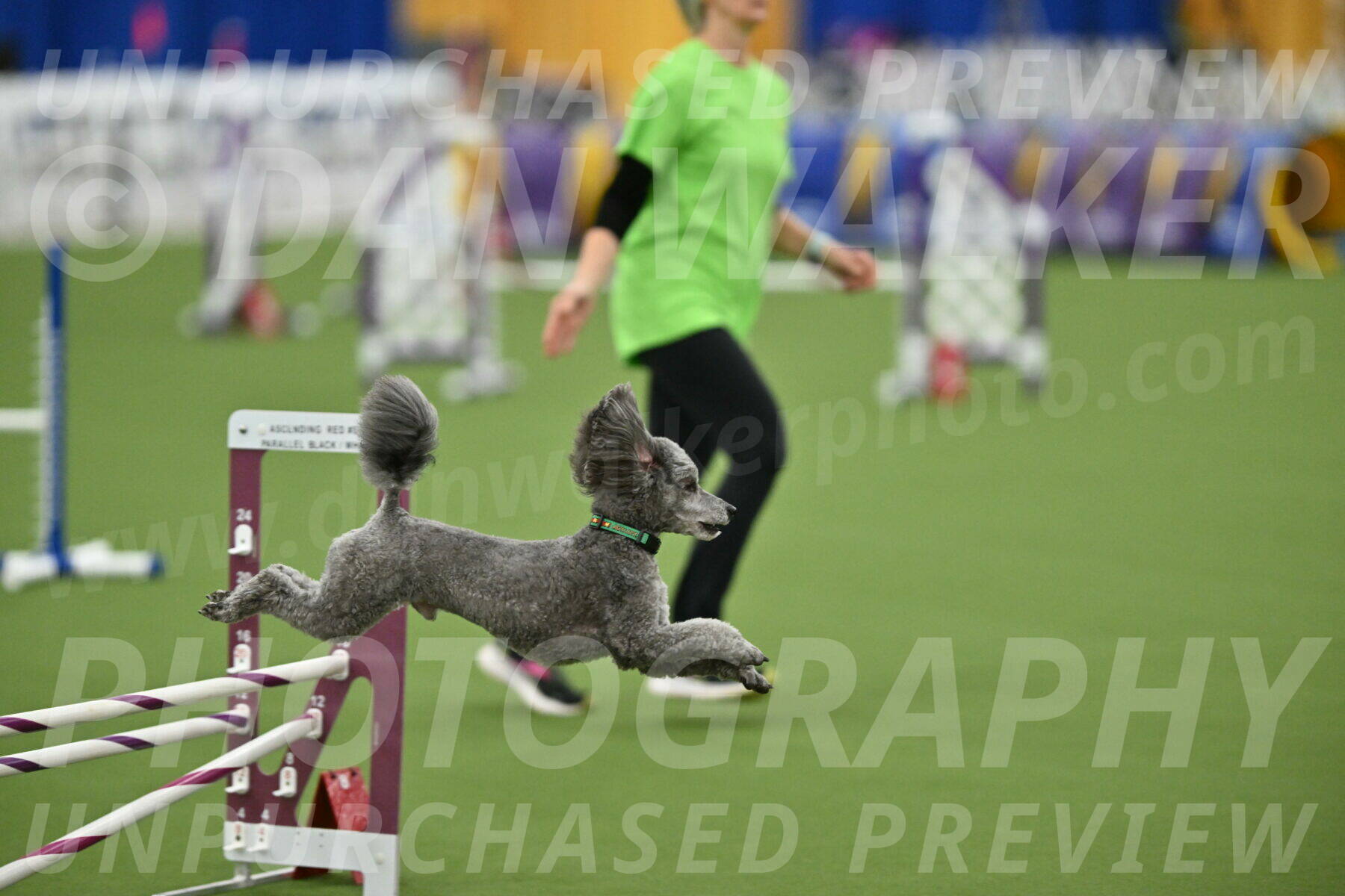 MAS-EX-STD-16-Inch_6507