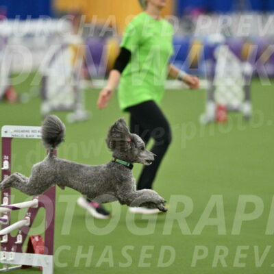 MAS-EX-STD-16-Inch_6507