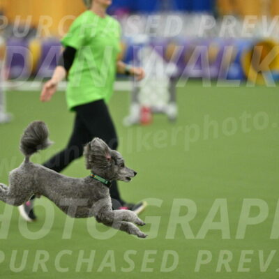 MAS-EX-STD-16-Inch_6508