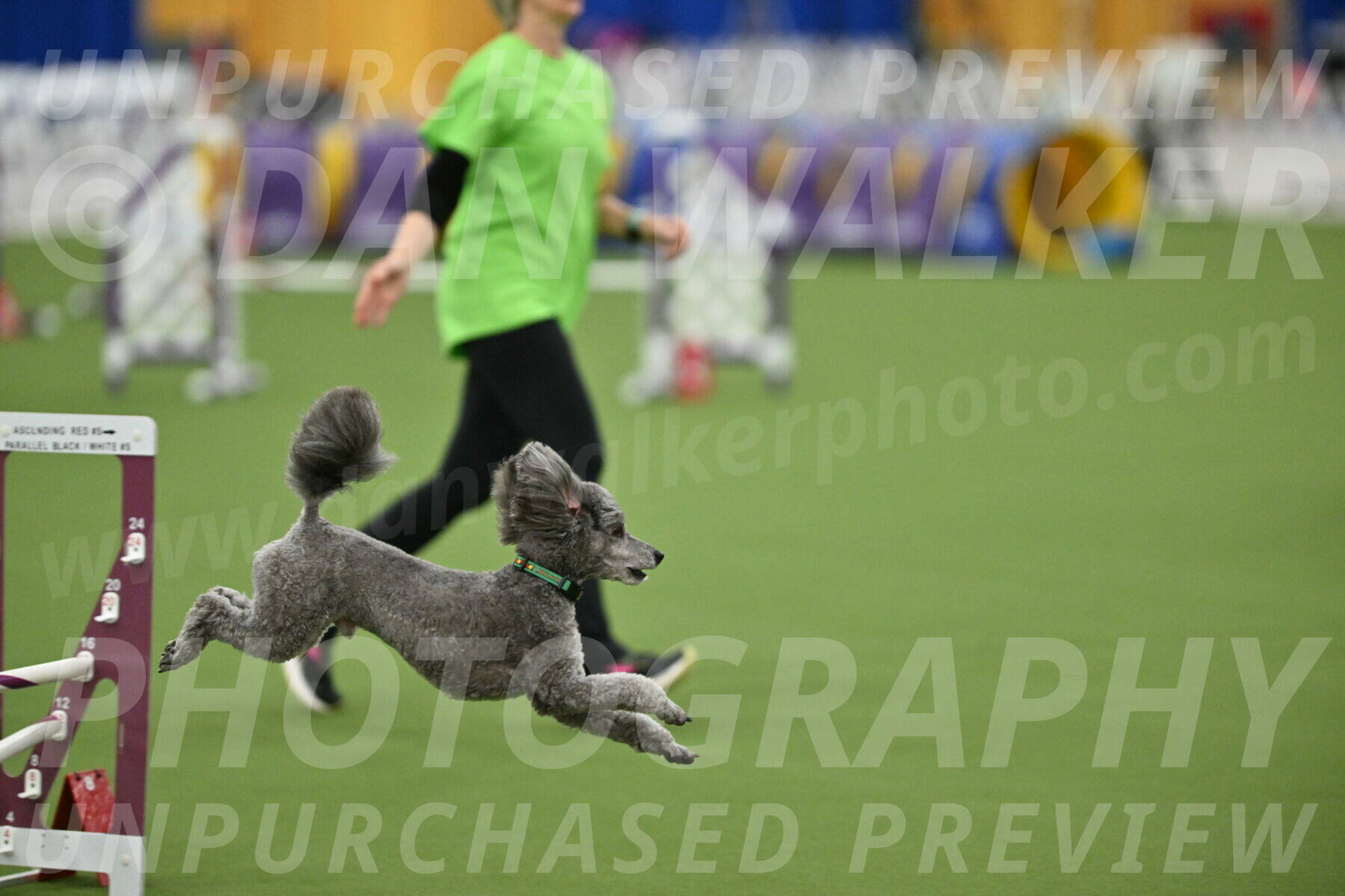 MAS-EX-STD-16-Inch_6508