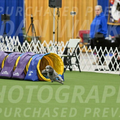 MAS-EX-STD-16-Inch_6513