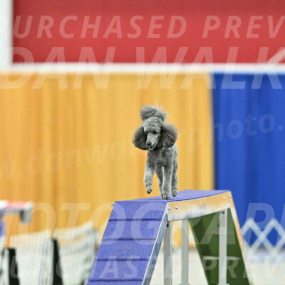 MAS-EX-STD-16-Inch_6526