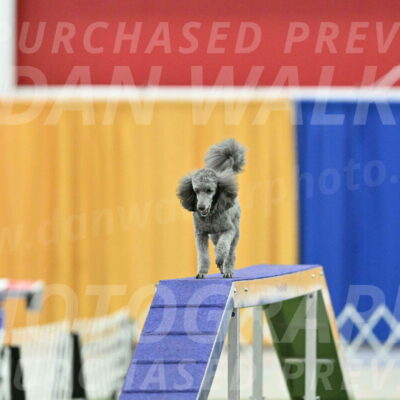 MAS-EX-STD-16-Inch_6529