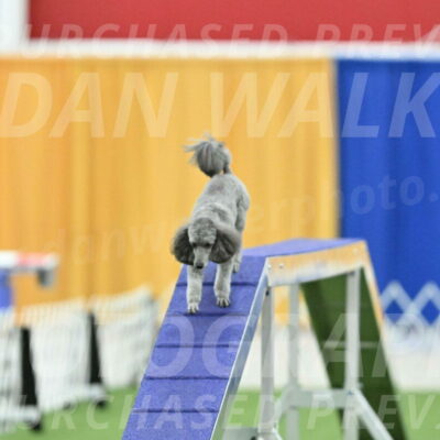 MAS-EX-STD-16-Inch_6533