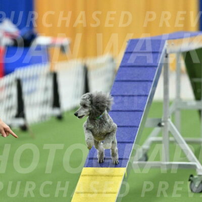 MAS-EX-STD-16-Inch_6536