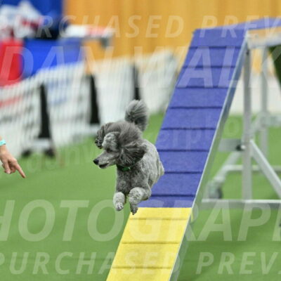 MAS-EX-STD-16-Inch_6537