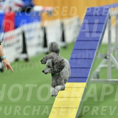 MAS-EX-STD-16-Inch_6538