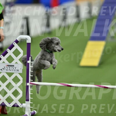 MAS-EX-STD-16-Inch_6544