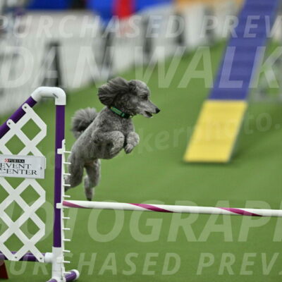 MAS-EX-STD-16-Inch_6545