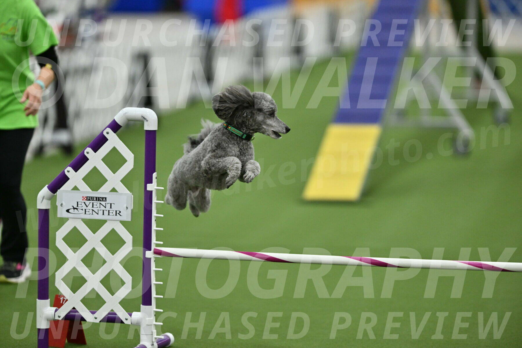 MAS-EX-STD-16-Inch_6546