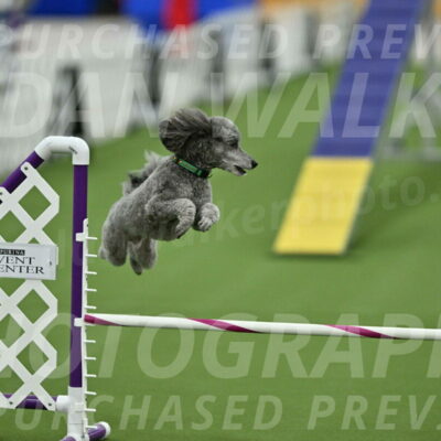 MAS-EX-STD-16-Inch_6546