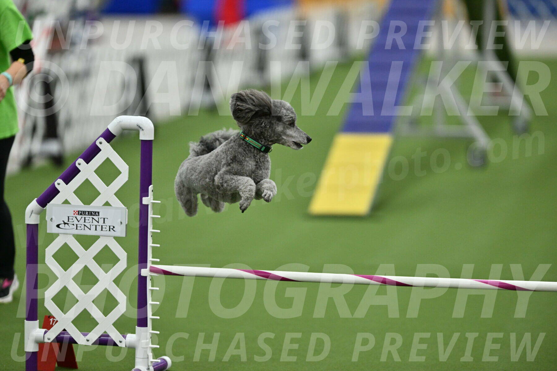 MAS-EX-STD-16-Inch_6547