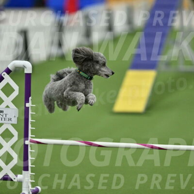 MAS-EX-STD-16-Inch_6547