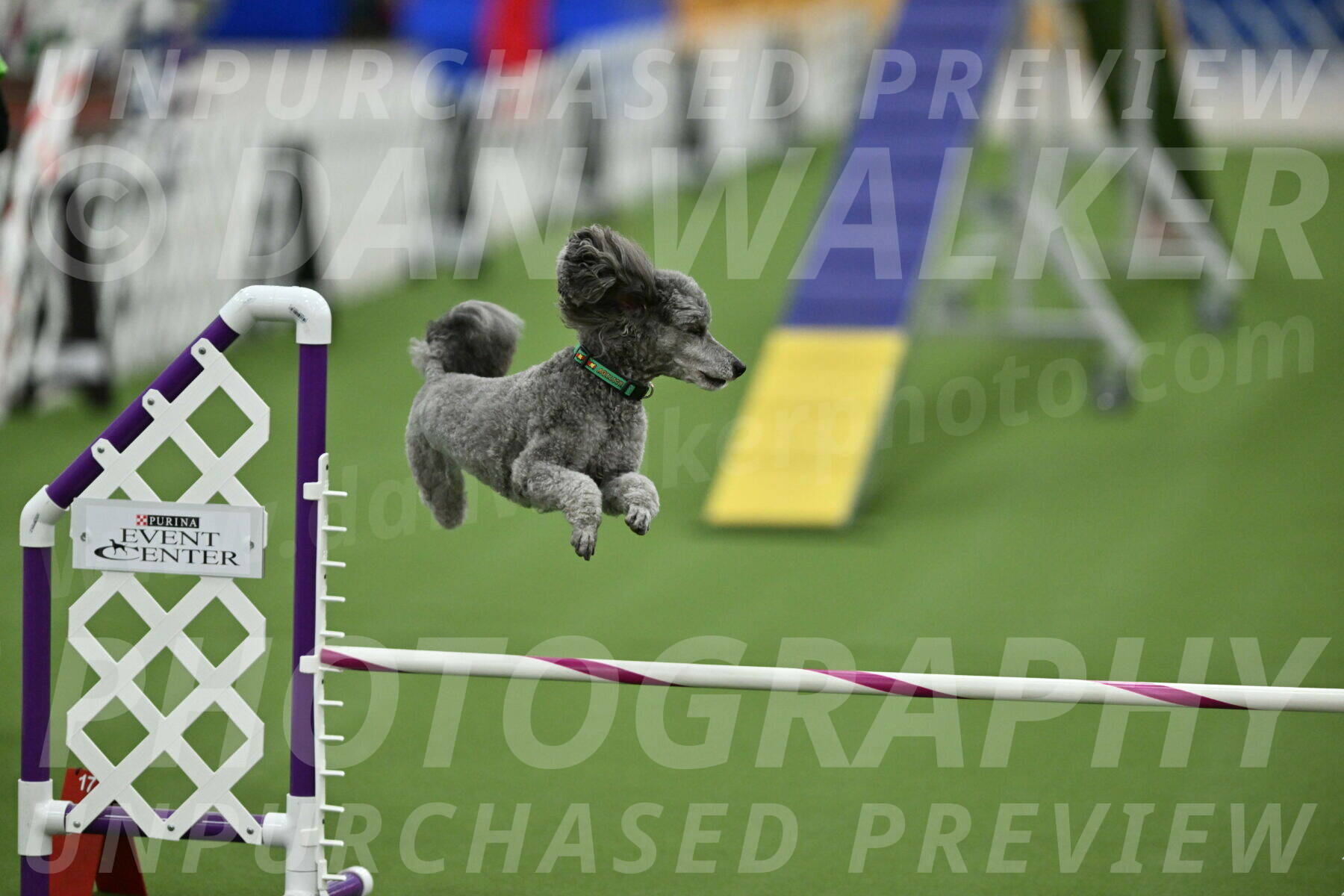 MAS-EX-STD-16-Inch_6548