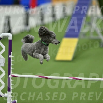 MAS-EX-STD-16-Inch_6548