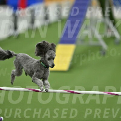 MAS-EX-STD-16-Inch_6550