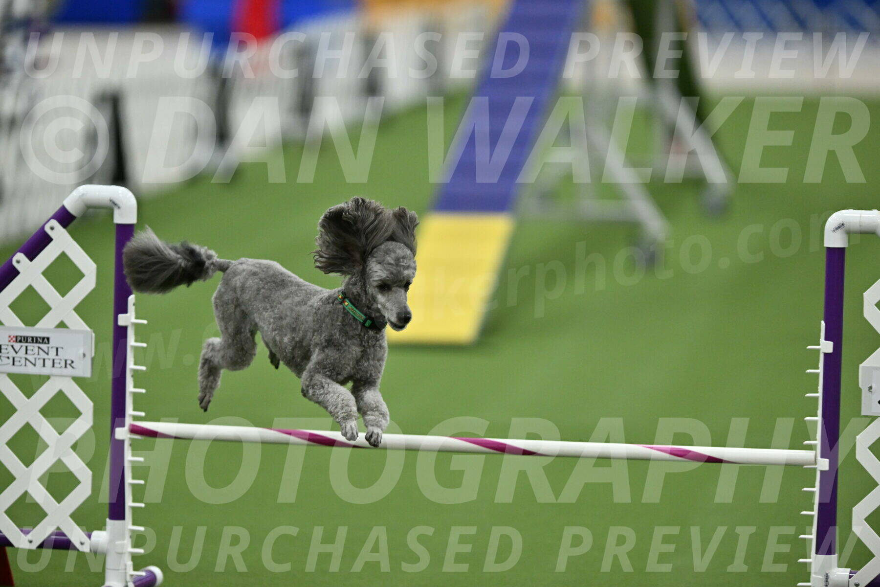 MAS-EX-STD-16-Inch_6550