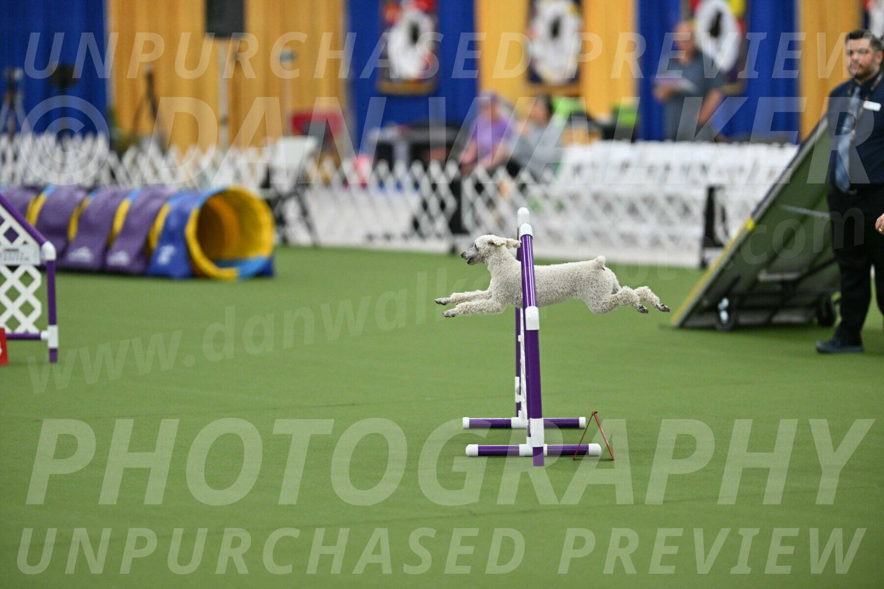 MAS-EX-STD-16-Inch_6551