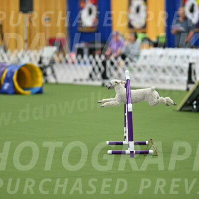 MAS-EX-STD-16-Inch_6551