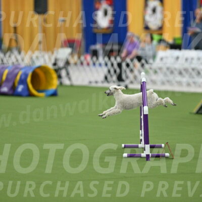 MAS-EX-STD-16-Inch_6552