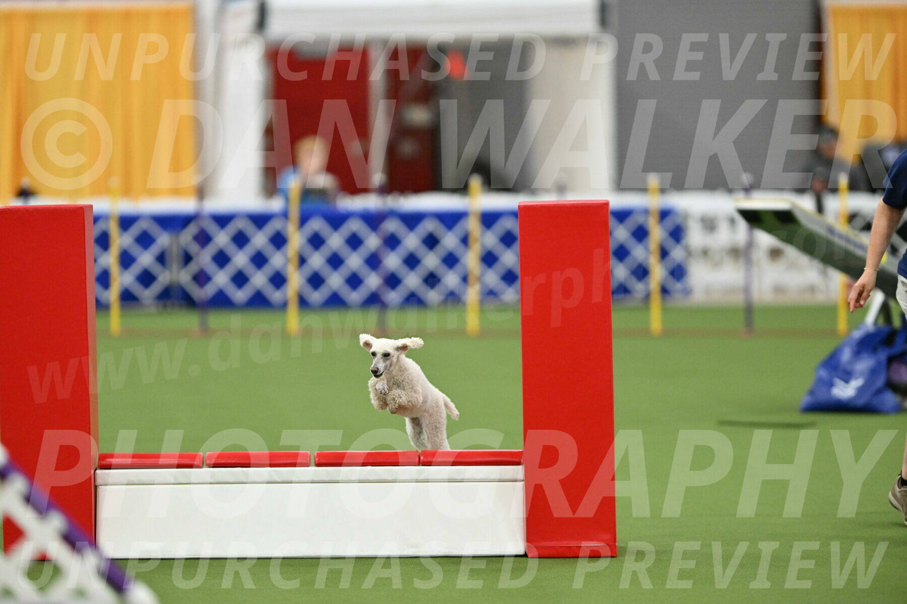 MAS-EX-STD-16-Inch_6569