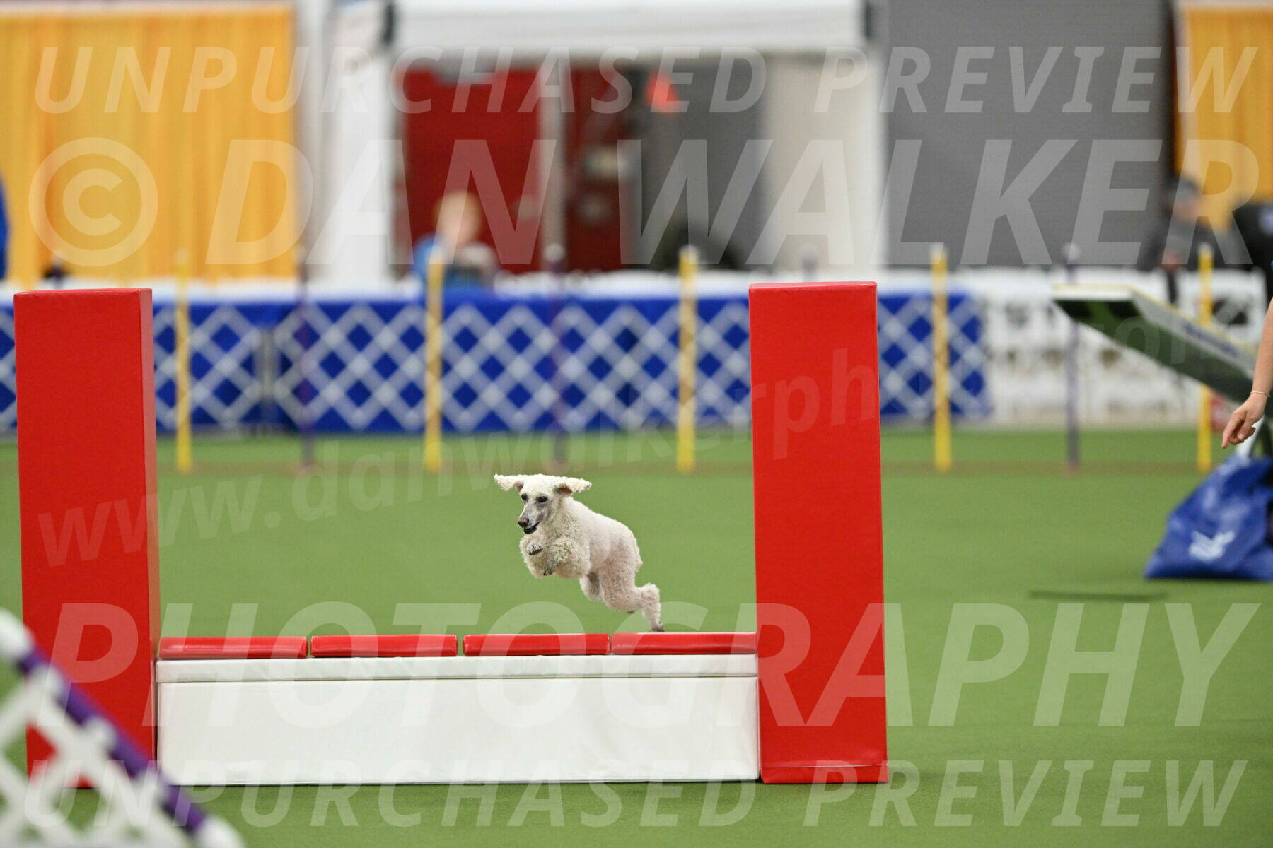 MAS-EX-STD-16-Inch_6570