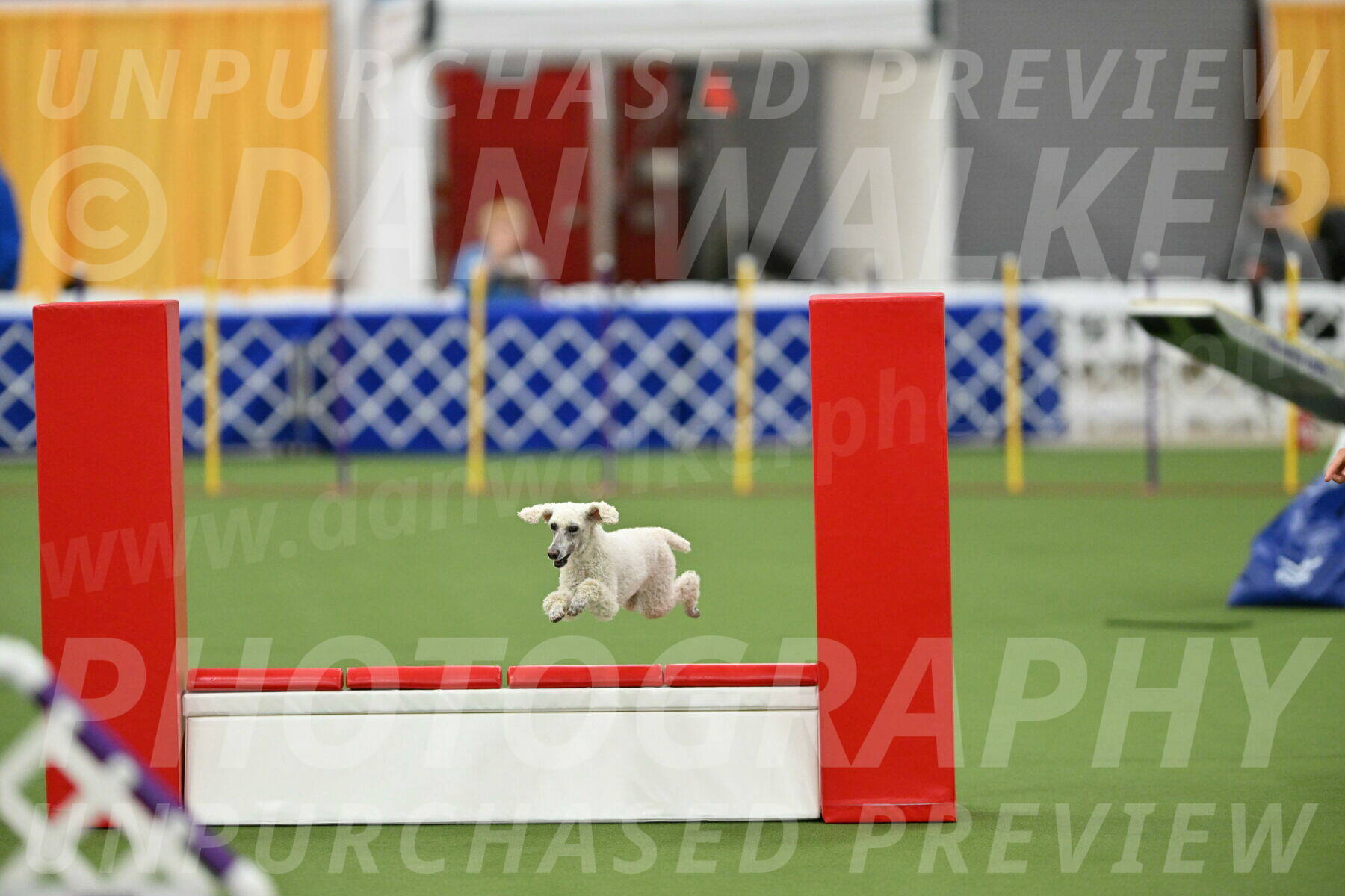 MAS-EX-STD-16-Inch_6571