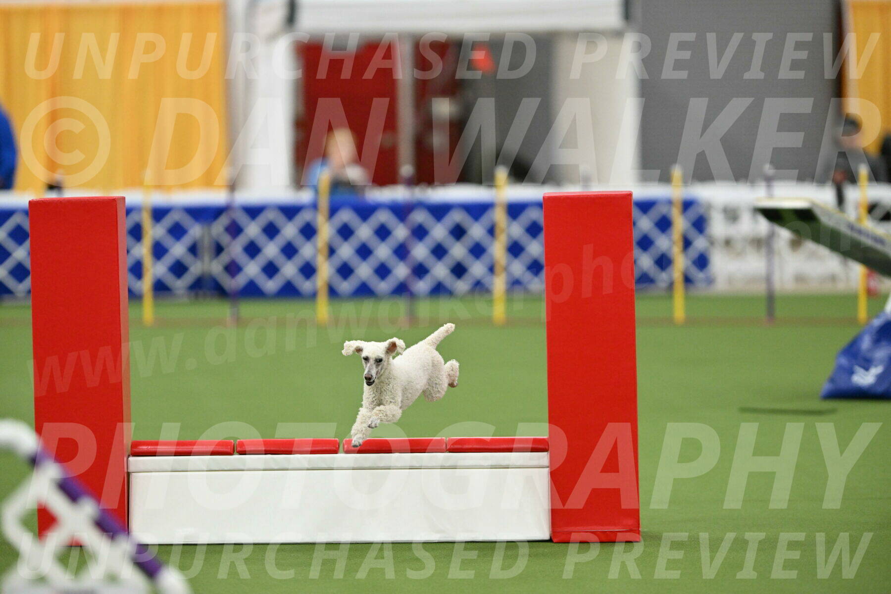 MAS-EX-STD-16-Inch_6572