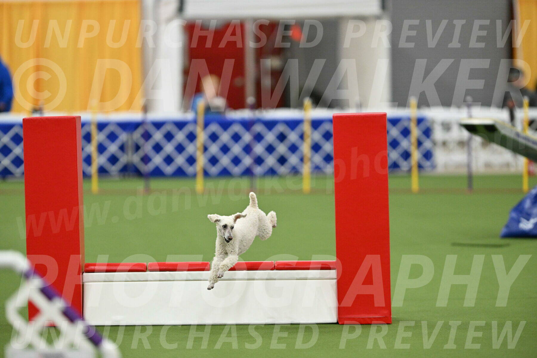 MAS-EX-STD-16-Inch_6573