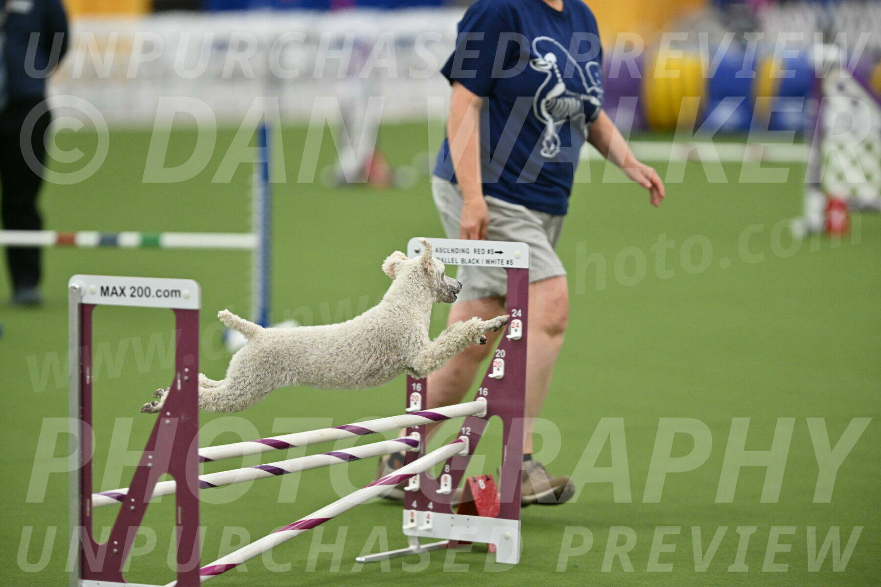 MAS-EX-STD-16-Inch_6582